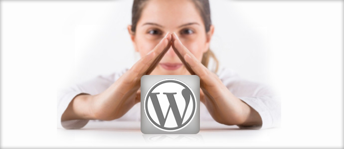 Wordpress for small business