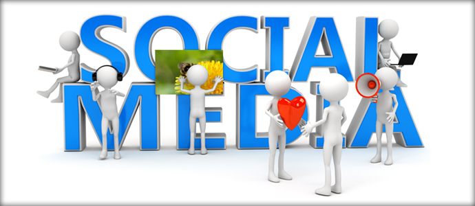 social-media
